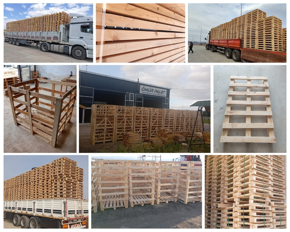 Hoorn Houten Kisten, Europallets Groothandel Kopen